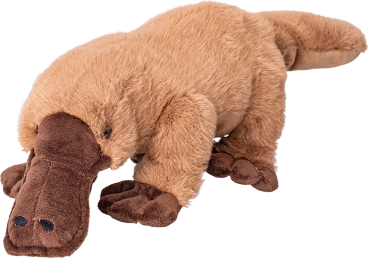 Ornitorinco di peluche 45 cm