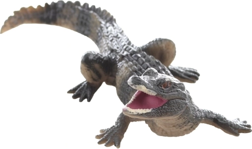 Dimensione ideale per la mano dei bambini