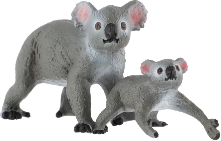 Koala con cucciolo