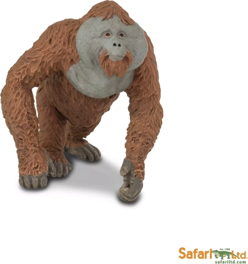 Safari Ltd. orangutan - maschio