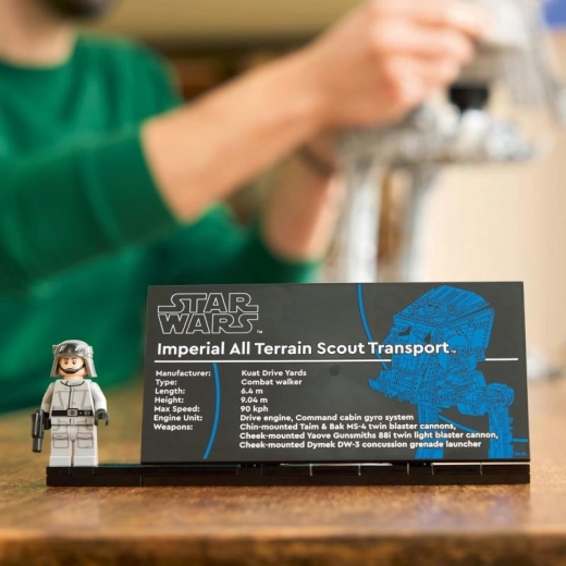 Display da collezione con targhetta e minifigure