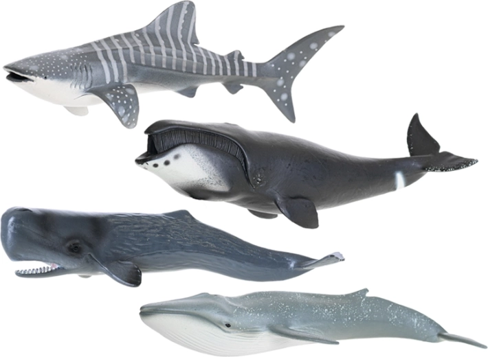 Struttura in plastica resistente