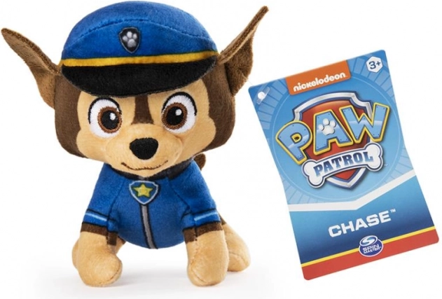 Uniforme autentica con distintivo