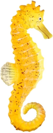 Dimensioni compatte di 8 cm