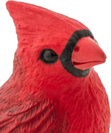 Lavorazione realistica del cardinale
