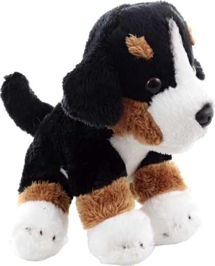 Compagno leggero e compatto