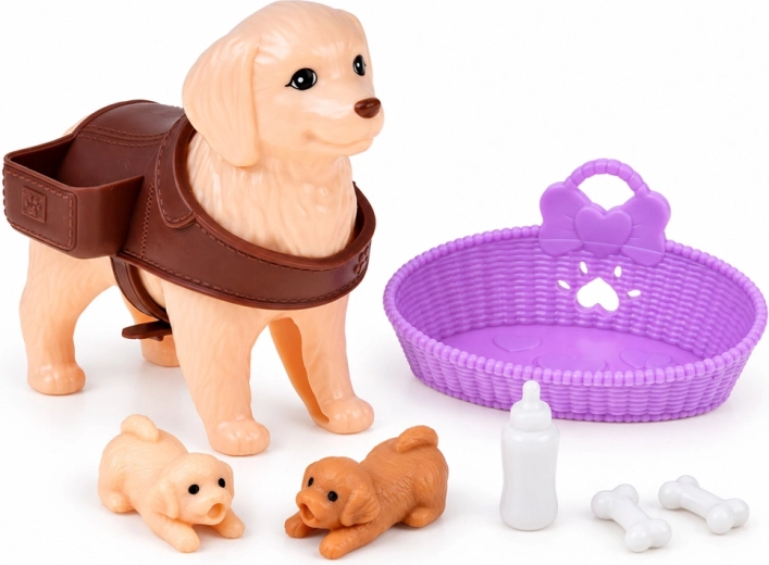 Accessori per prendersi cura della famiglia canina