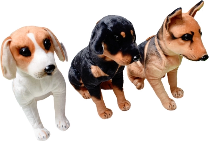 Cagnolino di peluche – cane di razza in posizione eretta