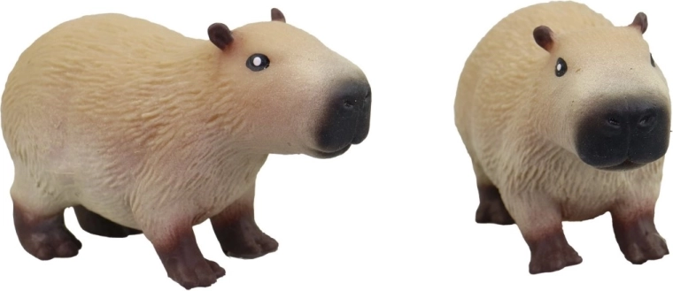 Aspetto adorabile del capibara