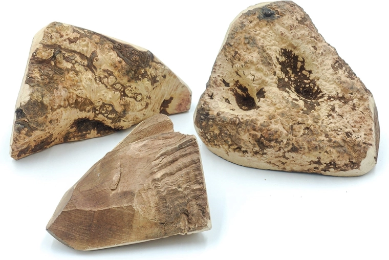 Ideale per diverse esigenze dei cani