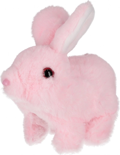 Morbido peluche che invita alle coccole