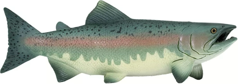 Figura di salmone Safari Ltd.