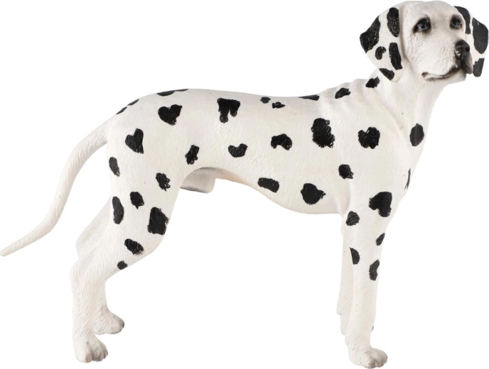 Aspetto realistico del dalmata