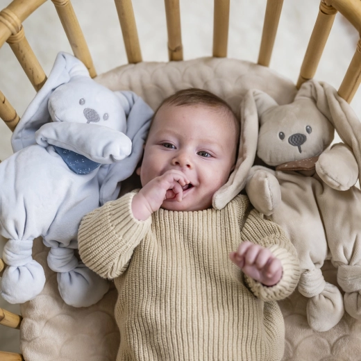 Compagno di coccole dalla nascita, a casa e in viaggio