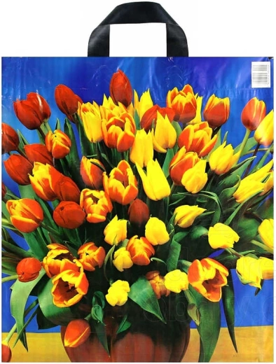 Borsa per la spesa in plastica stampata con manico a nastro 43 × 48 cm - 1 pezzo