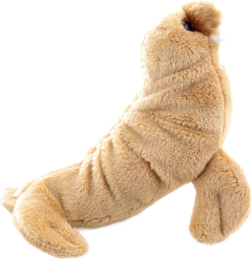 Design adorabile per bambini 0+