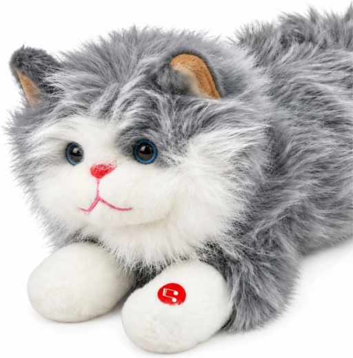 Adorabile aspetto grigio e bianco