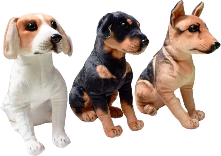 Cane di peluche – razze grandi