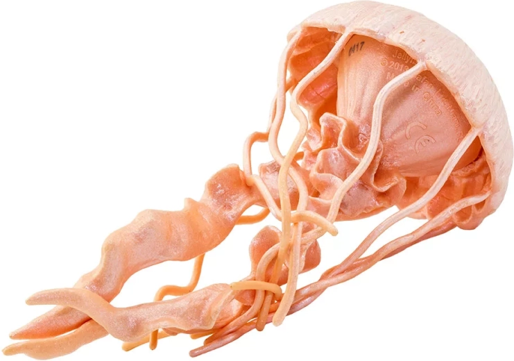 Realizzazione sicura e atossica