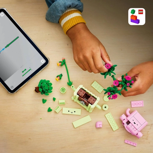 Costruzioni creative dai 9 anni