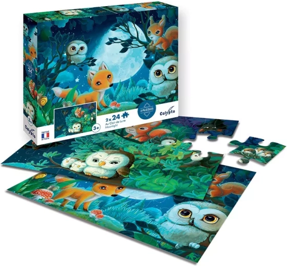 Sentosphere puzzle al chiaro di luna