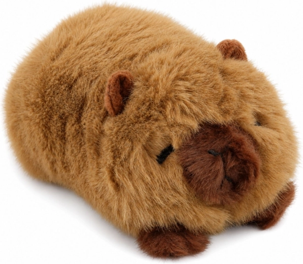 Dettagli adorabili della capibara