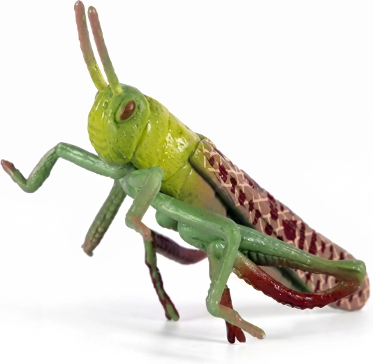 Locusta – figurina in plastica 7 cm