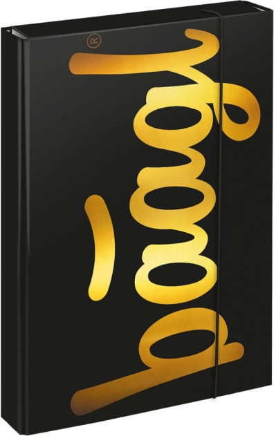 Cartelline per quaderni scolastici A4 Jumbo Gold