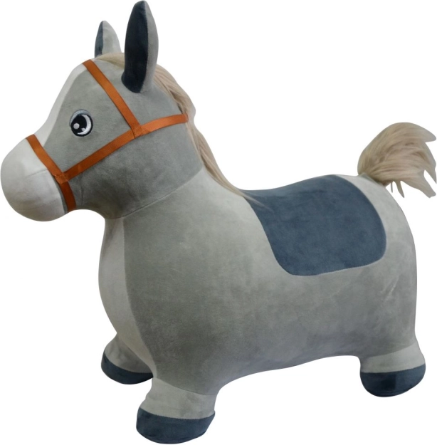 Asinello saltellante per bambini con custodia e pompetta