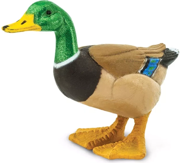 Anatra selvatica (figurina) Safari Ltd. - 1 pezzo