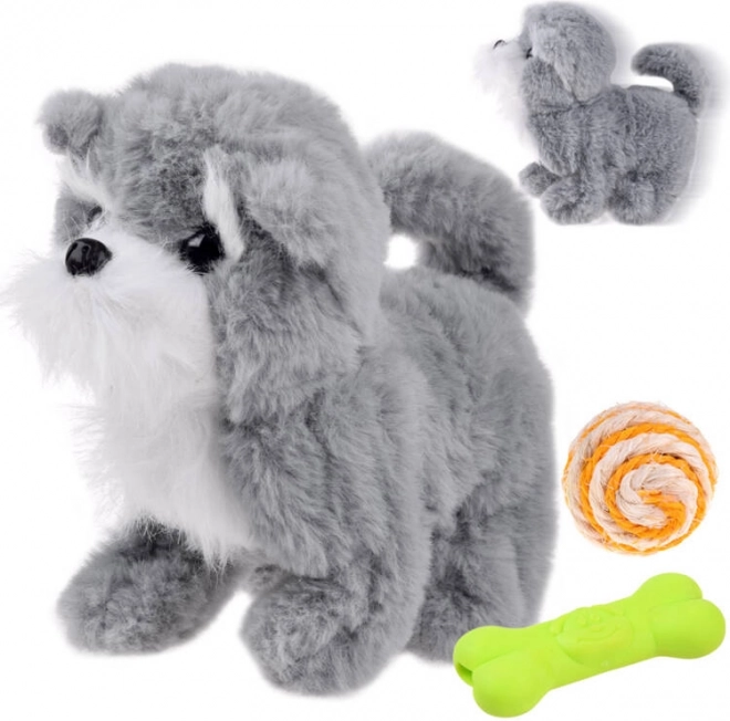Cagnolino grigio interattivo