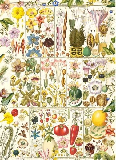 Puzzle Beatitudine Botanica 1000 pezzi