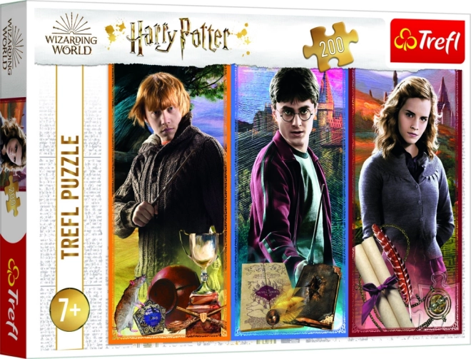 Puzzle HARRY POTTER 200 pezzi nel mondo della magia e degli incantesimi