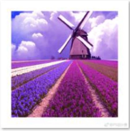 Pittura con diamanti – mulino a vento in un campo di lavanda 30 × 30 cm