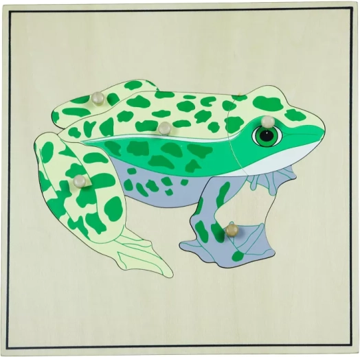 Puzzle con scheletro – rana