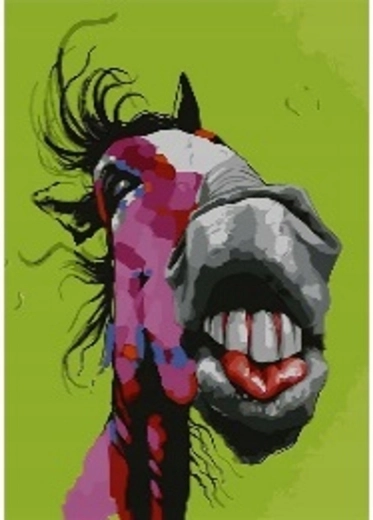 Norimpex Pittura con numeri Crazy Horse 40 × 50 cm