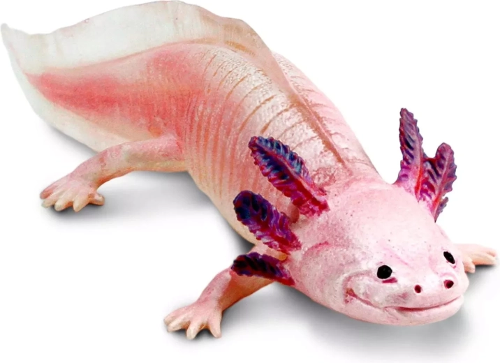 Safari Ltd. figura di axolotl