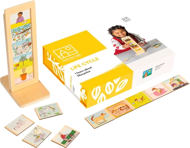 Toys for Life cicli di vita – set educativo con schede