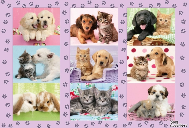 Puzzle Schmidt I miei amici animali 100 pezzi