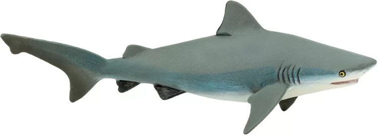 Figura di squalo leuca (squalo toro) Safari Ltd.