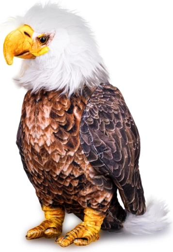 Aquila calva di peluche 30 cm