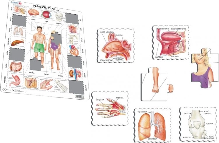 Puzzle educativo maxi Larsen "Il nostro corpo"