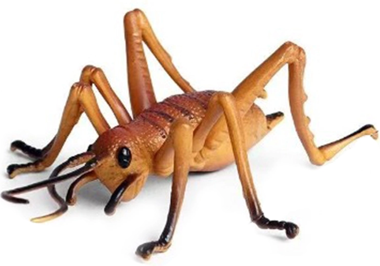 Grillo di plastica 10 cm