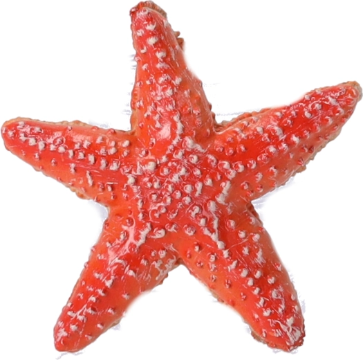 Figurina da collezione Stella Marina, Papo