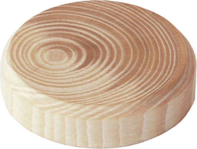 Tappi nodali in legno 35 × 7 mm, set da 10 pezzi