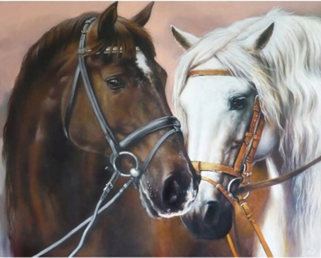Norimpex Pittura con numeri Due cavalli che si abbracciano 40 × 50 cm