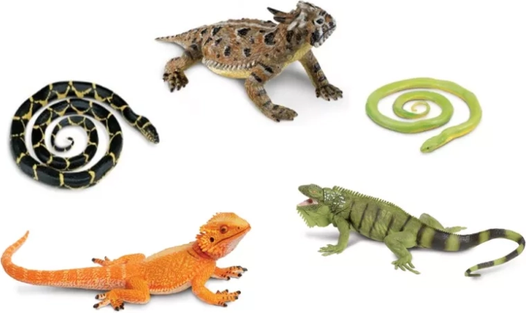 Safari Ltd. serpenti e lucertole – set da 5 figurine
