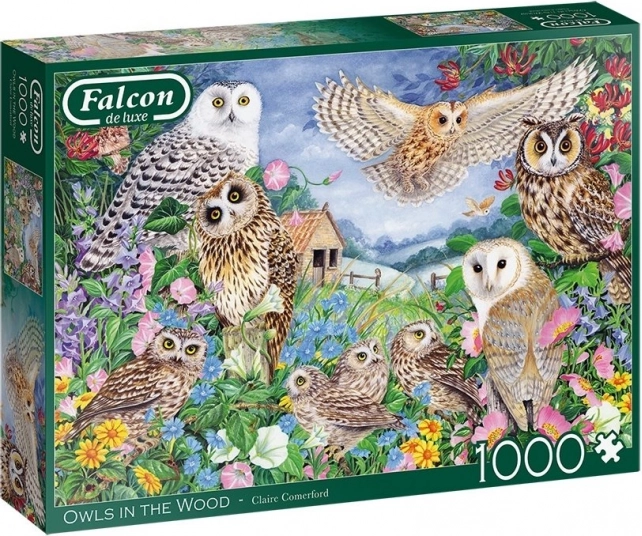 Puzzle FALCON gufi nel bosco, 1000 pezzi
