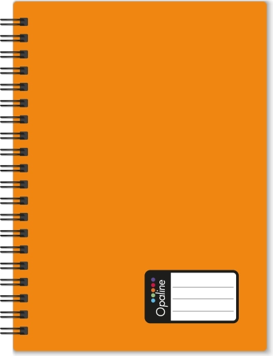 Blocco a spirale A4 Opaline, arancione, a righe