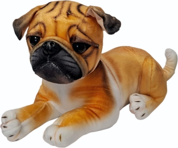 Cane Carlino di peluche - 1 pezzo